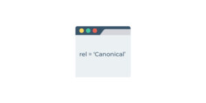 Canonical Etiketi Nedir? Nerelerde Kullanılır?